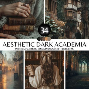 Dark Academia Stock Photos, Aesthetic Vintage Academy Photos, Faceless Marketing Instagram Reels, Old Schoolary Stock Images, PLR MRR Bundle
