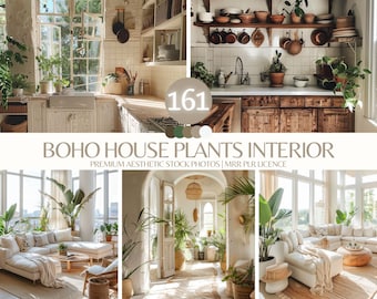 Boho Houseplant Stock Photos: Chic Interior Decor (161 High-Resolution)