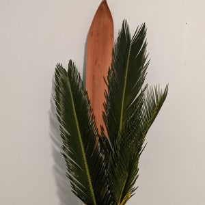 Two Large Fresh Cut Sago Palm Frond 18 + Inches in Height.