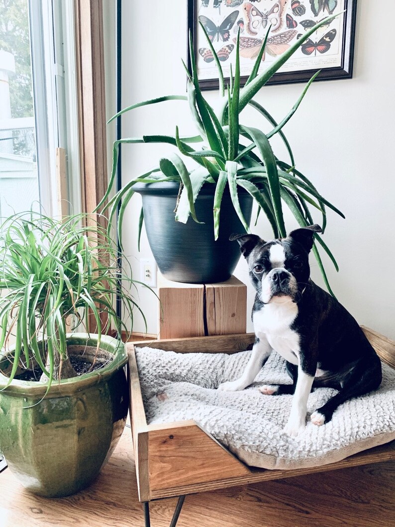 CUSTOM Mid Century Modern Pet Bed W/hairpin Legs Choose Etsy Canada