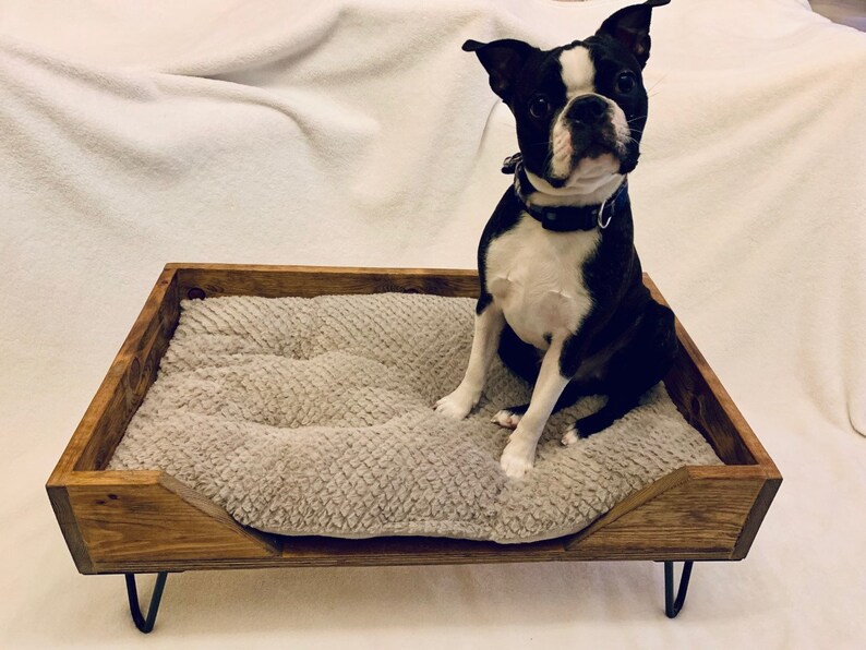 CUSTOM Mid Century Modern Pet Bed W/hairpin Legs Choose Etsy Canada