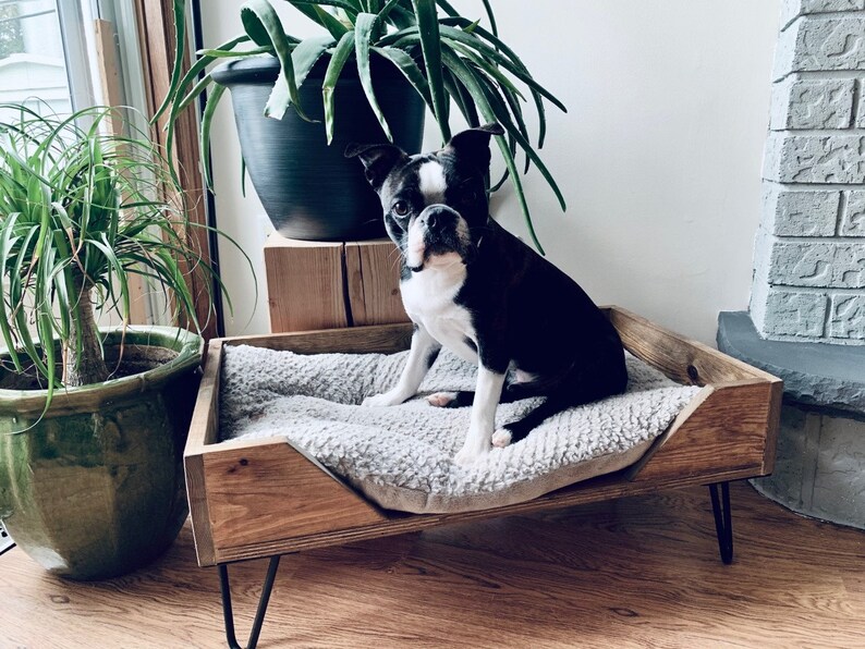 CUSTOM Mid Century Modern Pet Bed W/hairpin Legs Choose Etsy Canada