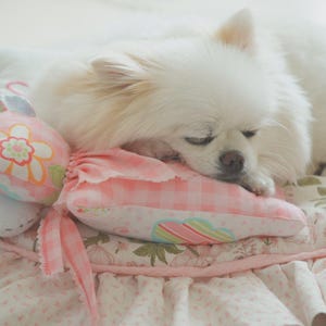 May include: A fluffy white dog resting on a pink and white gingham pillow. The dog is surrounded by other decorative pillows and a floral patterned blanket. The scene is soft and inviting, suggesting a cozy pet bed.