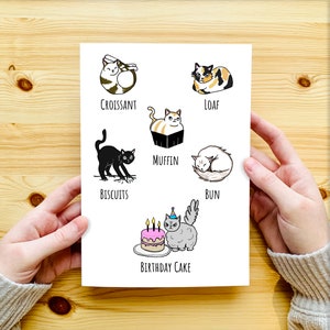 Tarjeta de cumpleaños de Bakery Cats - Reino Unido - Feliz cumpleaños - Tarjeta de gato divertida, para él, para ella, para papá, esposo, novio, novia y amantes de los gatos