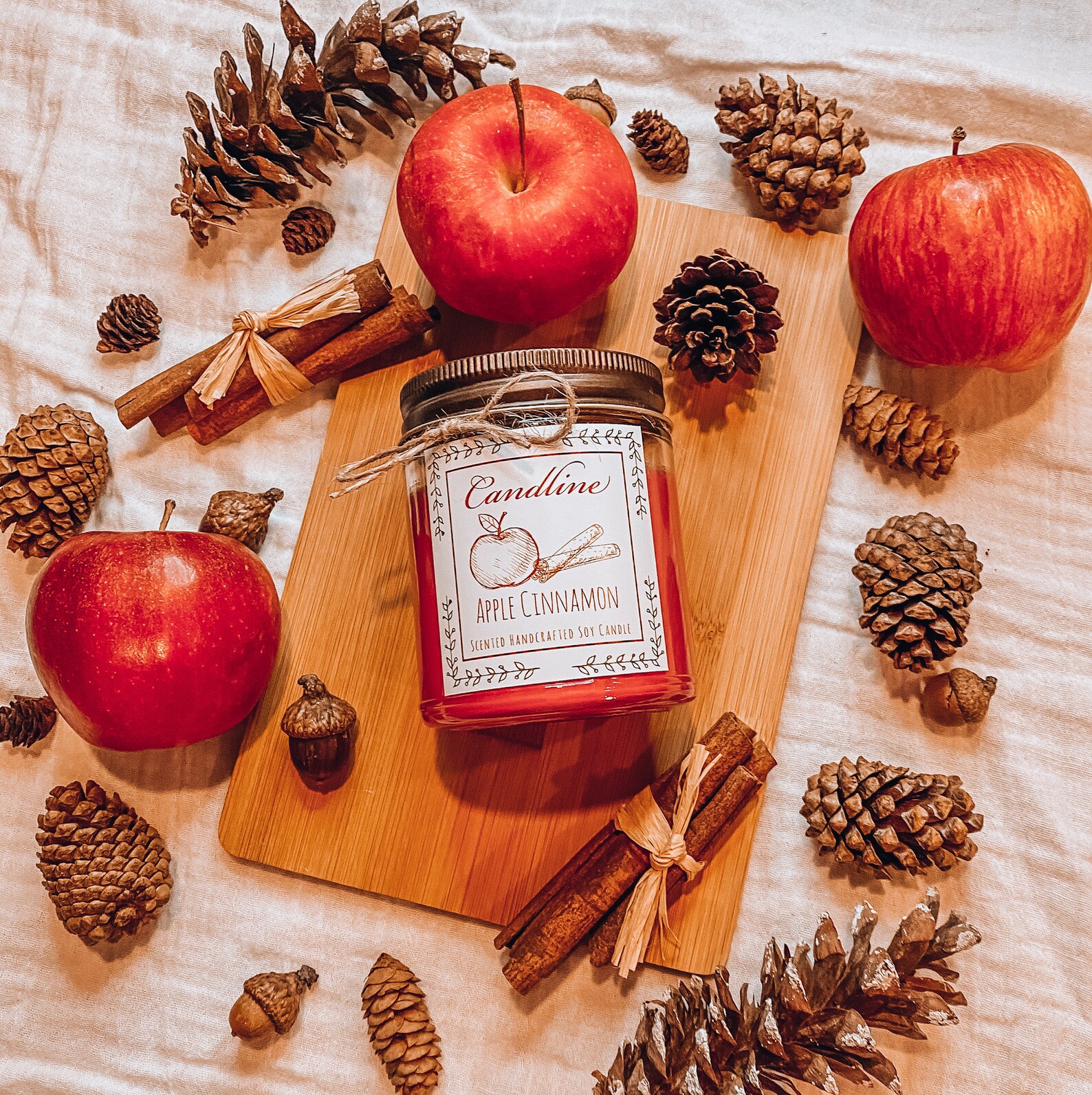 Apple Cinnamon Candle Scented Handcrafted Candle 100 Natural Soy Candle Essential Oil Candle