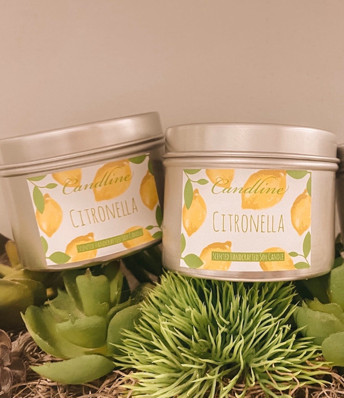 Citronella Candle Scented Handcrafted Candle 100 Natural Etsy UK