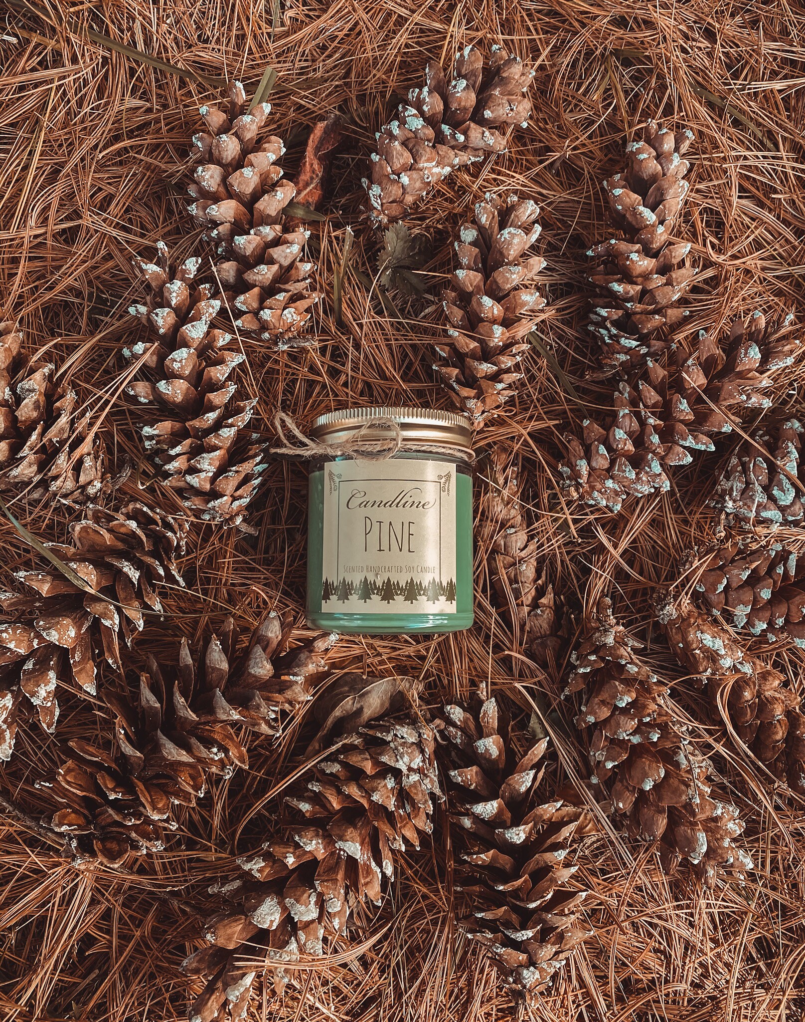 Pine Candle Scented Handcrafted Candle 100 Natural Soy Etsy UK