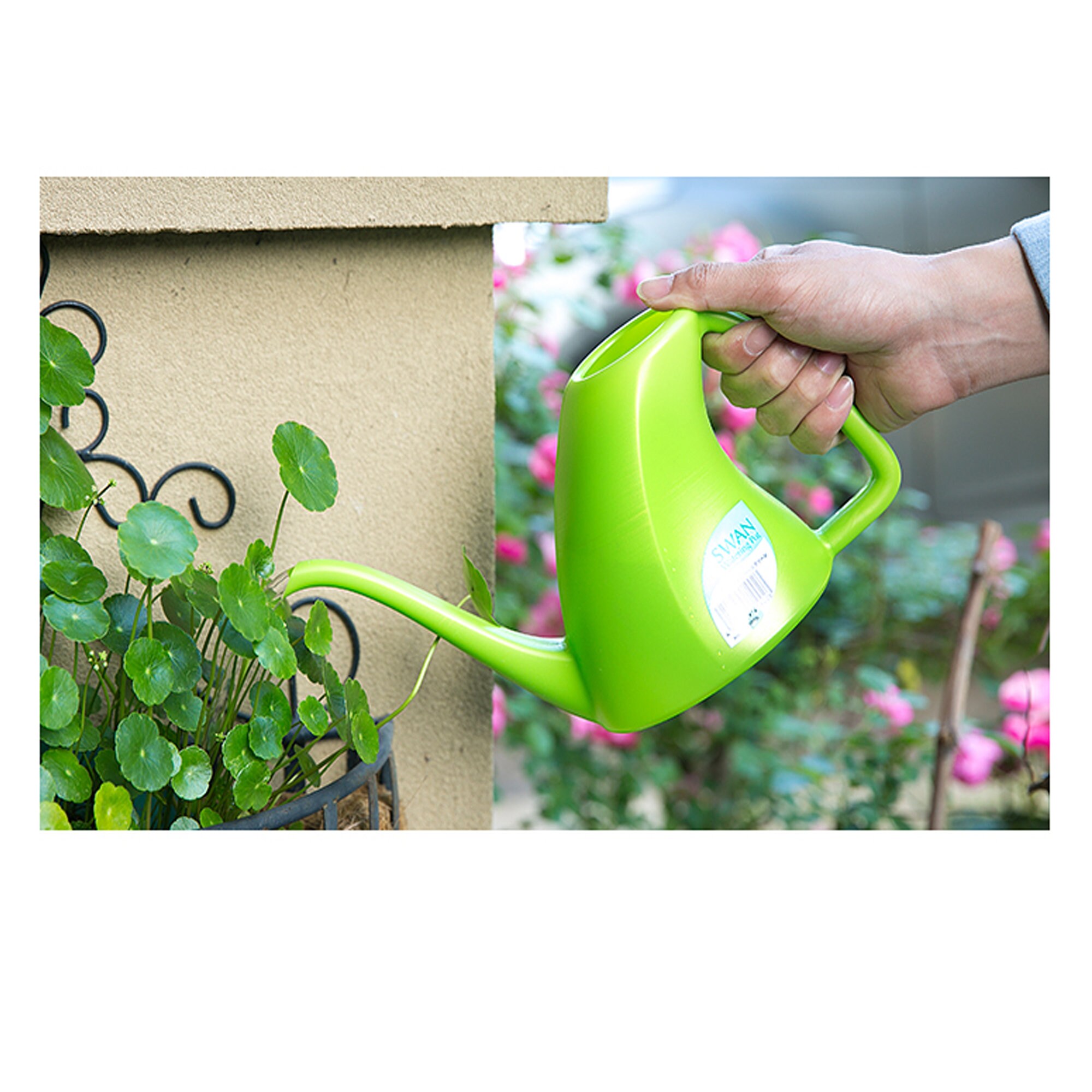 Long Nozzle Watering Can Small Nozzle Watering CanGardening Etsy
