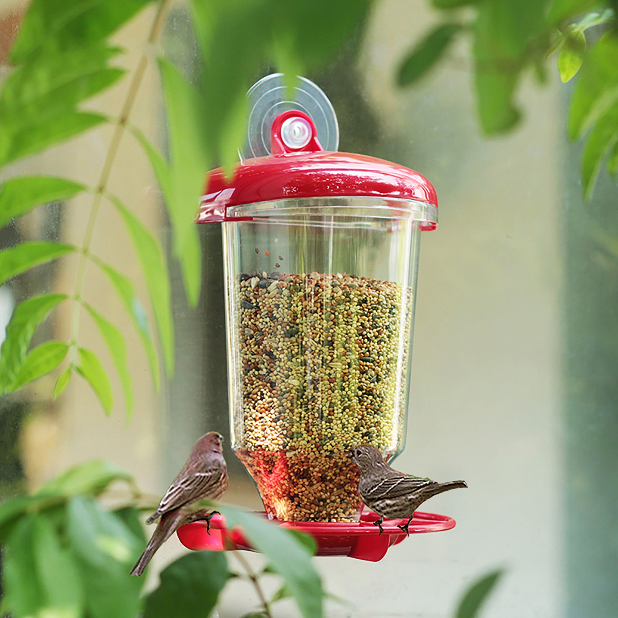 Outdoor Automatic Feeder Bird Feeding Tools Rainproof Etsy