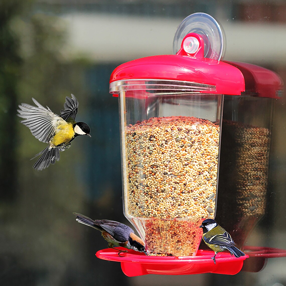 Outdoor Automatic Feeder Bird Feeding Tools Rainproof Etsy