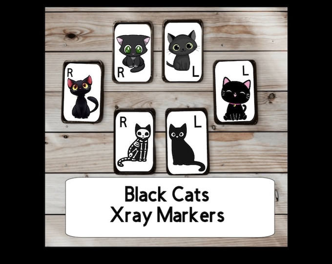 Xray Case for Xray Markers Xray Marker Plastic Clear Casing Etsy