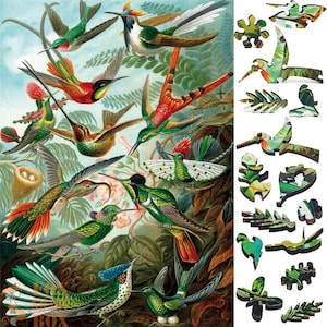 Wooden Jigsaw Puzzles for Adults with Uniquely Shaped Pieces - made in USA by FoxSmartBox - 145 Pieces - Hummingbirds (Trochilidae)
