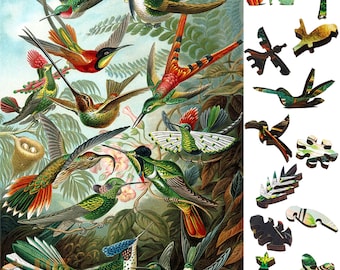 Houten legpuzzels voor volwassenen met uniek gevormde stukjes - gemaakt in de VS door FoxSmartBox - 267 stukjes - kolibries (Trochilidae)