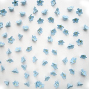 May include: A white background with many light blue forget-me-not flowers scattered across the surface.