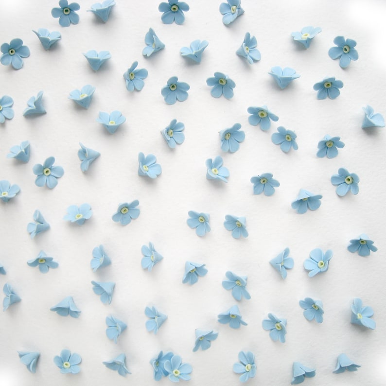 May include: A white background with many light blue forget-me-not flowers scattered across the surface.