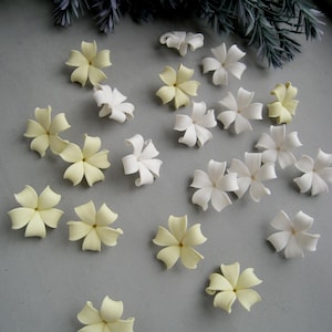 Puede incluir: Una colección de pequeñas flores de cinco pétalos en tonos amarillo pálido y blanco. Cada flor presenta pétalos lisos y curvados dispuestos en un patrón de estrella. Las flores están dispersas por el encuadre, mostrando un tamaño uniforme.