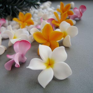 Puede incluir: Una colección de flores de plumeria artificiales en tonos blanco, amarillo y rosa. Las flores de cinco pétalos están esparcidas por la superficie, presentando texturas suaves y mate con degradados de color vibrantes en el centro.