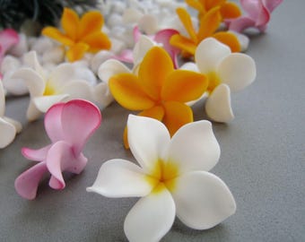 Puede incluir: Una colección de flores de plumeria artificiales en tonos blanco, amarillo y rosa. Las flores de cinco pétalos están esparcidas por la superficie, presentando texturas suaves y mate con degradados de color vibrantes en el centro.