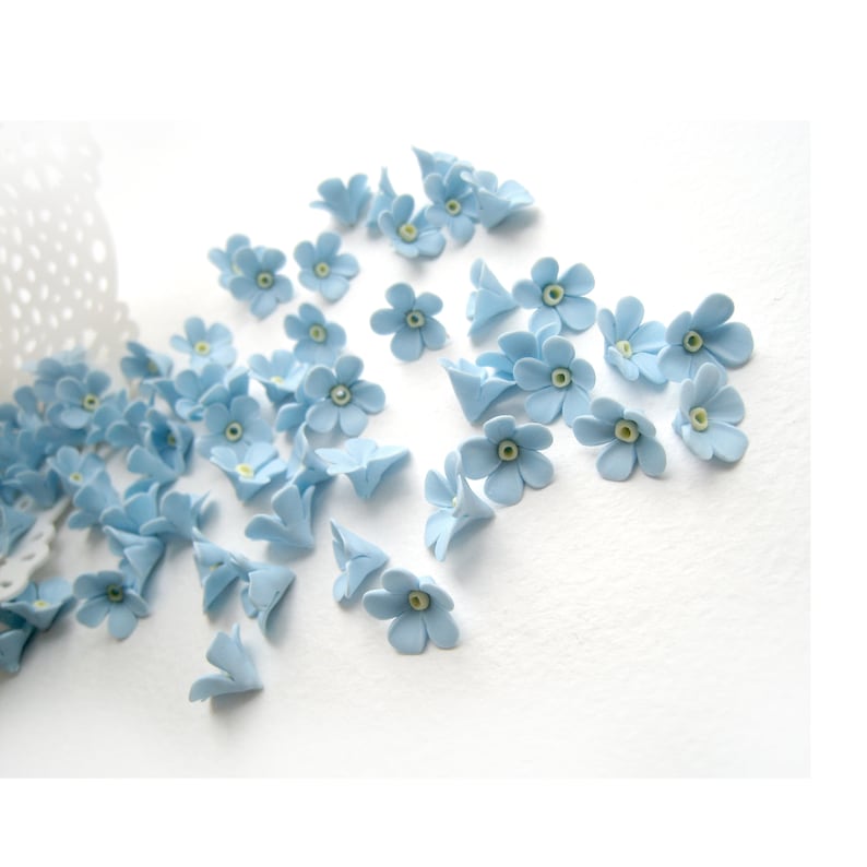 May include: A scattering of light blue forget-me-not flowers, some with yellow centres, on a white background.