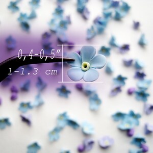 May include: A light blue forget-me-not flower with a yellow centre, measuring 0.4-0.5 inches or 1-1.3 cm.