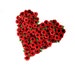 Antonina