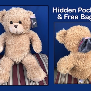 May include: A light brown teddy bear with a hidden pocket and a free bag. The bear is sitting on a striped surface. The bag is a small, gray pouch with a pink zipper.