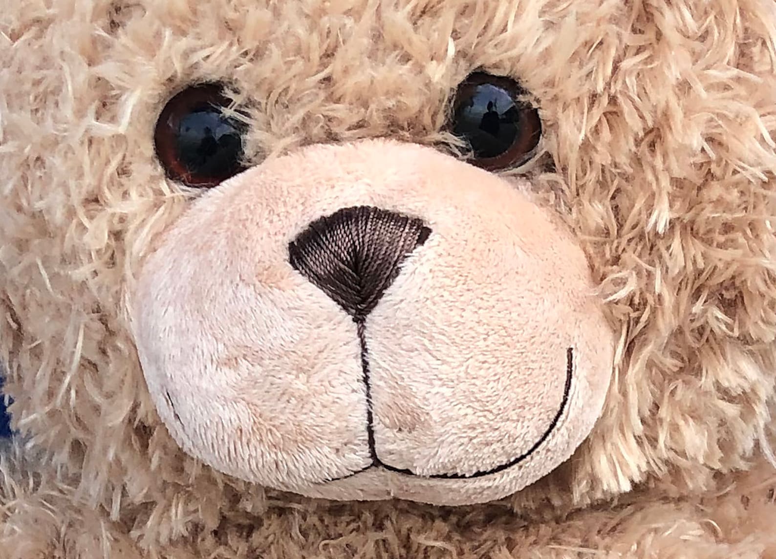 STASH BEAR, Teddy Bear With Pocket, Giant Teddy Bear With Heart, Unique