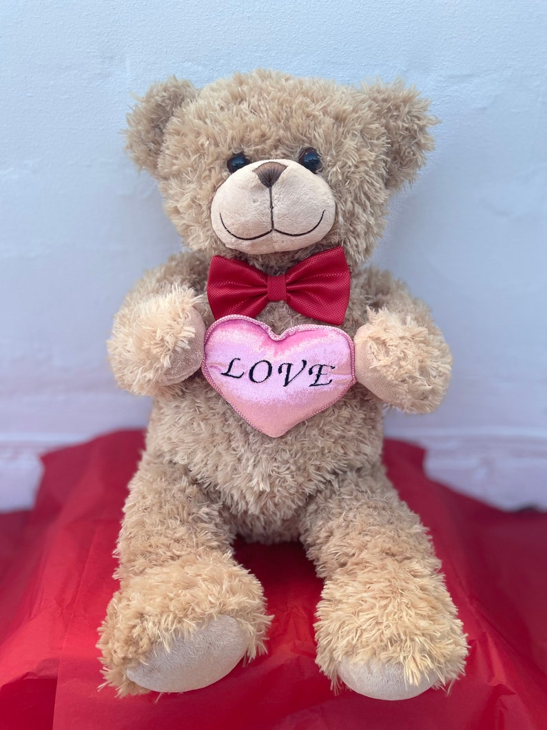 Stash Teddy Bear, Hidden Pocket, Red Bowtie, Silk Rose, Valentine's Day