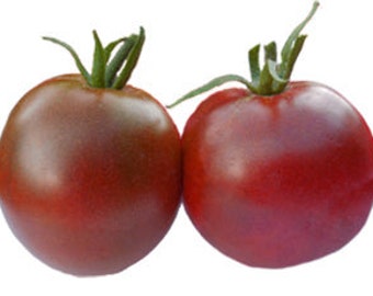 Tomato - Black Prince Heirloom Seeds