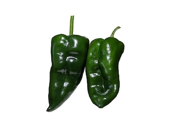May include: Two dark green poblano peppers with smooth, glossy skin and distinct stems. The peppers have a wide, tapered shape with subtle ridges and indentations along their surfaces, showcasing a deep, uniform color and a firm, fresh appearance.