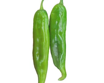 Hatch Green Hot - Doublecross Chile Seeds