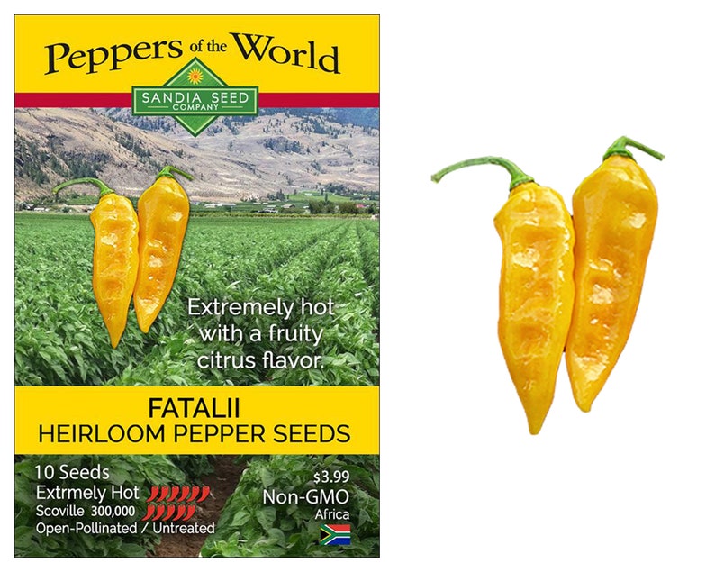 Fatalii Heirloom Hot Pepper Seeds Etsy