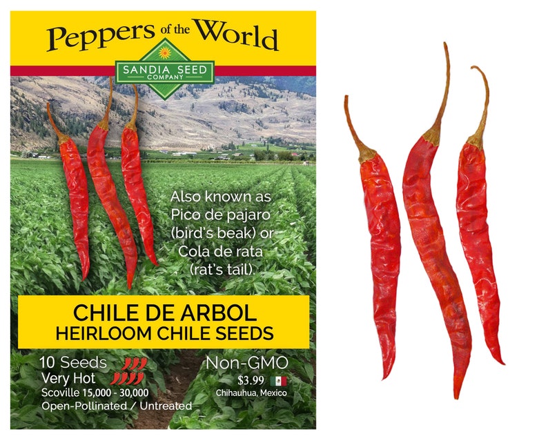 Chile de Arbol Seeds Etsy