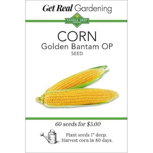 Corn - Golden Bantam Corn Seeds - Heirloom Variety - Easy Planting, Non-GMO