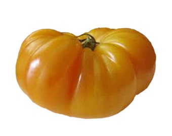 Tomato - Pineapple Heirloom Seeds - On Sale