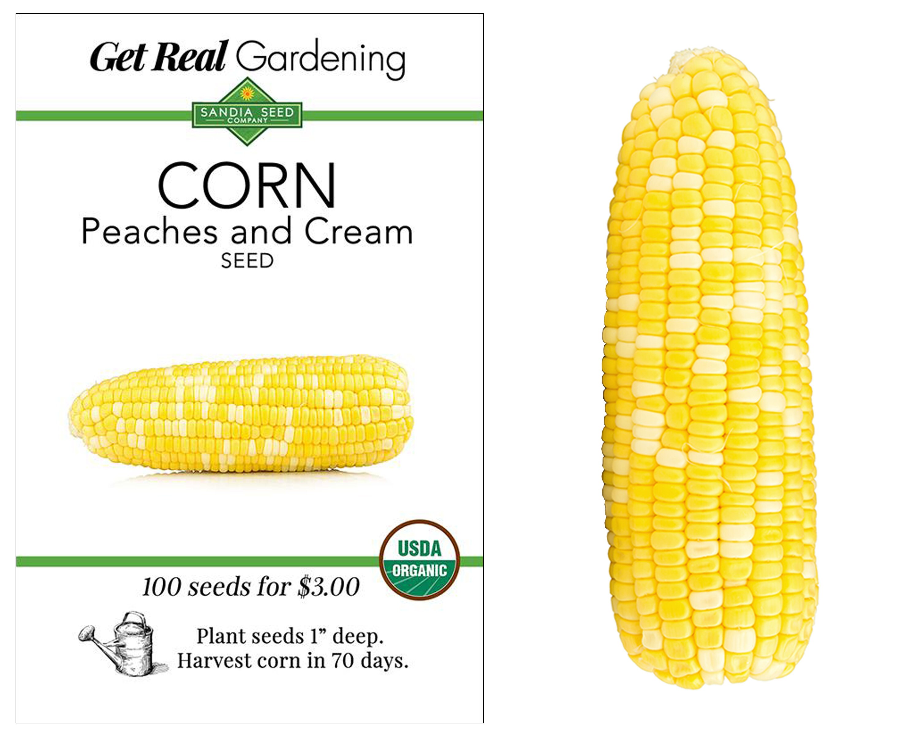 Corn Peaches and Cream Organic Vegetable Seeds Etsy