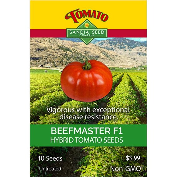 Pianta Di Pomodoro Innestata F1 Petit Dolce Immagini E Fotografie Stock - Foto 8