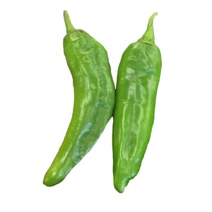 Hatch Green Mild - NM 6-4 Heirloom Chile Seeds