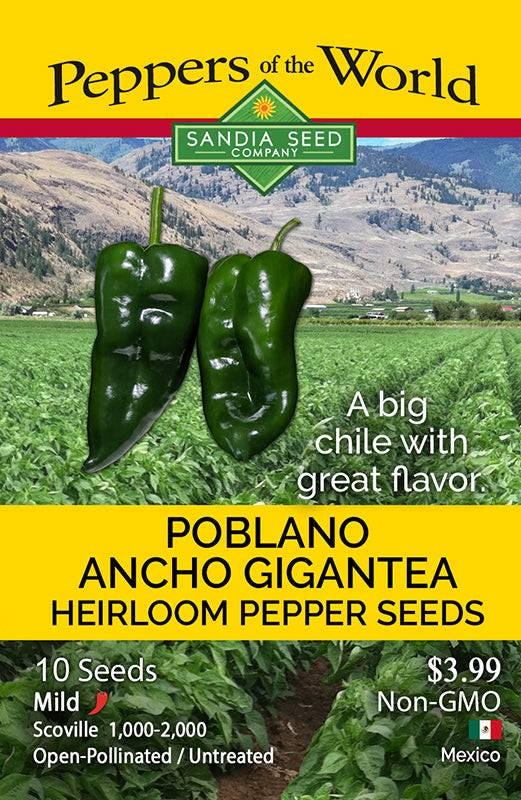 Poblano Ancho Gigantea Pepper Seeds- A Sweet, Mild Heirloom Pepper