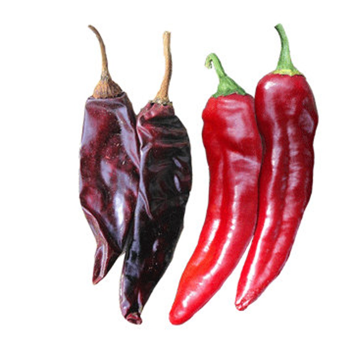Guajillo Chile Pepper Seeds Etsy