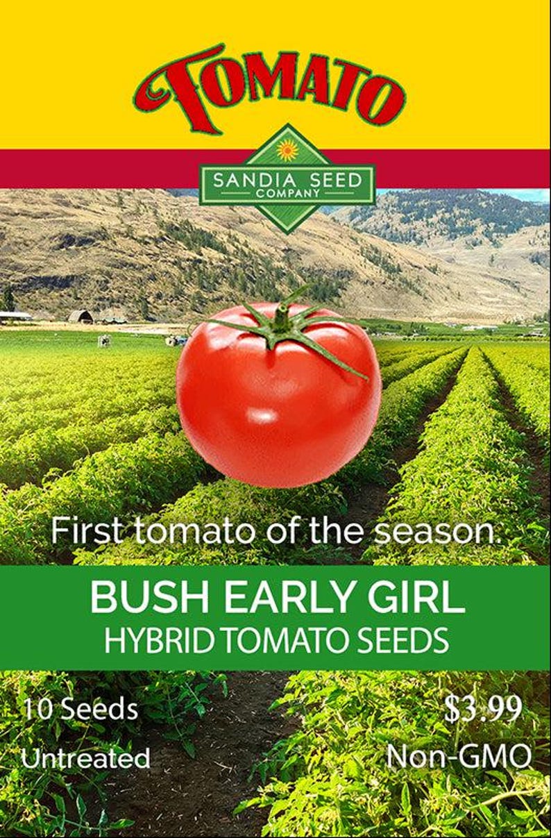 Bush Early Girl Hybrid Tomato Seeds - Thumbnail 2