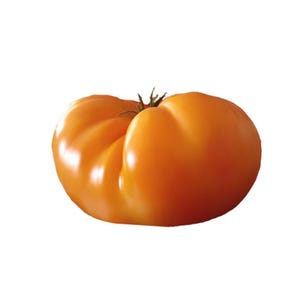 Kellogg's Breakfast Tomato Seeds - Orange Heirloom Beefsteak with Bold Flavor