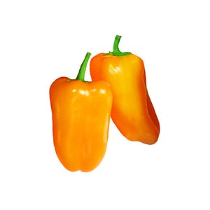 Bell Mini Orange Sweet Pepper Seeds