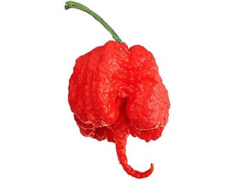Carolina Reaper Red Seeds - Super Hot with 2,000,000 Scoville!