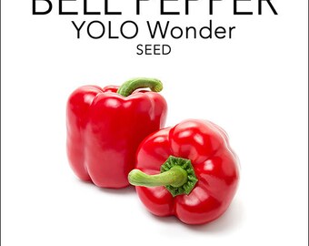 Bell Pepper - Yolo Wonder Seeds