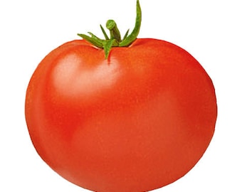 Tomato - Celebrity Hybrid Seeds