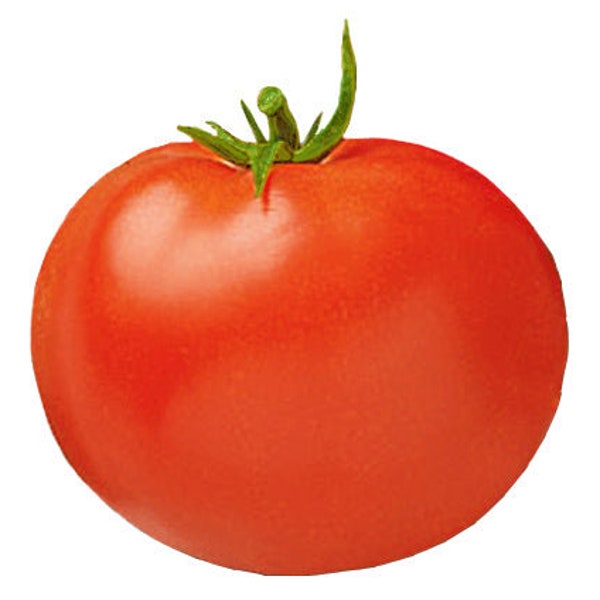 Tomato - Celebrity Hybrid Seeds