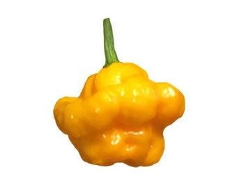 Scotch Bonnet Yellow Pepper Seeds