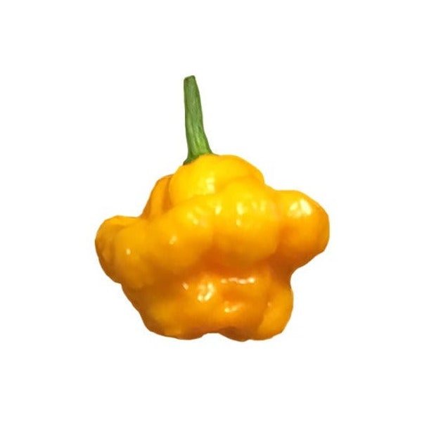 Scotch Bonnet Yellow Pepper Seeds