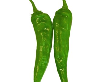 Hatch Green Medium - Big Jim Heirloom Chile Seeds